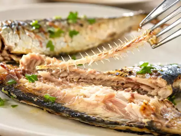Je gooit het meest voedzame deel van de sardine weg zonder te beseffen wat je misloopt