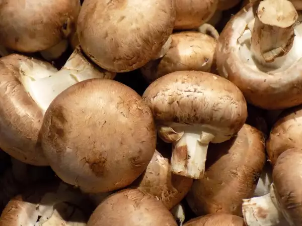 De eenvoudige bewaarkniff die paddenstoelen langer vers houdt