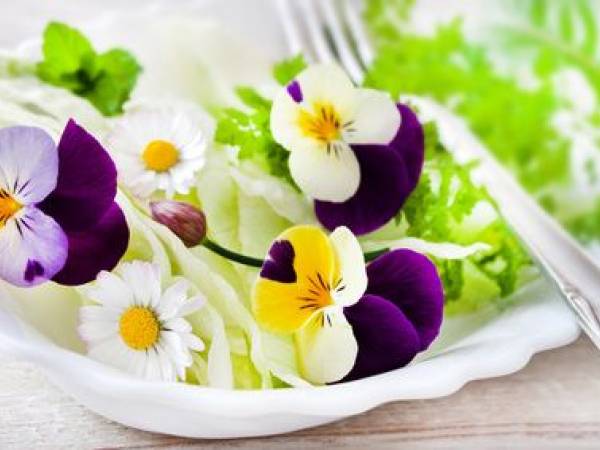 Eetbare bloemen - geur, kleur en smaak op je bord