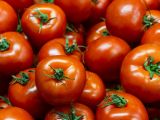 Gaan tomaten langer mee? Hier zijn 5 tips die echt werken