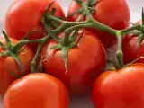Artikelen: Tomaten: deze 8 recepten laten zien hoe je er meer van kunt maken dan alleen een salade.