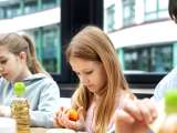 Artikelen: De meest populaire vis op schoolmenu's, verboden in Frankrijk vanwege zijn toxiciteit