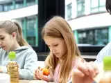 Artikelen: De meest populaire vis op schoolmenu's, verboden in Frankrijk vanwege zijn toxiciteit