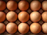 Artikelen: Eiwit, cholesterol, energie... wat gebeurt er als je elke dag eieren eet?