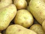 Artikelen: Denk je dat je hem gewoon schilt en dat dat alles is? Wat niemand je heeft verteld over de groenige aardappel in je keuken