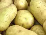 Artikelen: Denk je dat je hem gewoon schilt en dat dat alles is? Wat niemand je heeft verteld over de groenige aardappel in je keuken