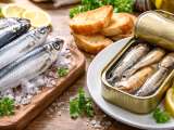 Artikelen: Verse sardines en sardines in blik: alles wat je moet weten voordat je beslist wat je op tafel zet