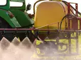 Artikelen: Is biologisch eten genoeg om cadmium te vermijden? Wat Anses echt zegt (en waarom het debat voor opschudding zorgt)