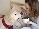 Artikelen: 8 voedingsmiddelen die je absoluut niet aan je hond moet geven!