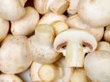 Artikelen: Zijn uw champignons een beetje bruin? Hier leest u wanneer u ze kunt bereiden en wanneer u ze moet weggooien
