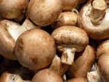 Artikelen: De eenvoudige bewaarkniff die paddenstoelen langer vers houdt