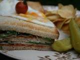 Hungry for Lunch- The Club Sandwich