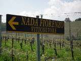 Piemonte deel 2; Nada fiorenzo