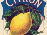 Recept Citroen-limoen-mint-ijs