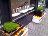 Recept Veggie hotspot Amsterdam: Lite/Dark