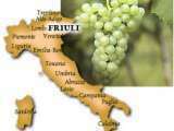 Italliaanse druivensoorten D tot M / Uve provenienti da italia