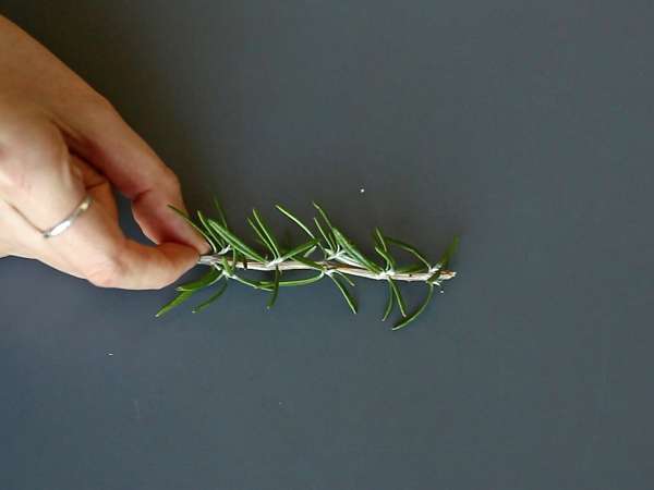 Cocktail met een besneeuwde dennenboom erin - Voorbereiding stap 1
