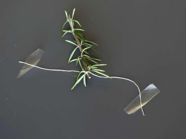 Cocktail met een besneeuwde dennenboom erin - Voorbereiding stap 3