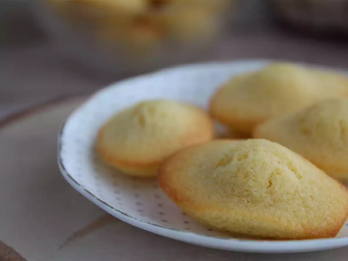Eenvoudige Madeleines - foto 4