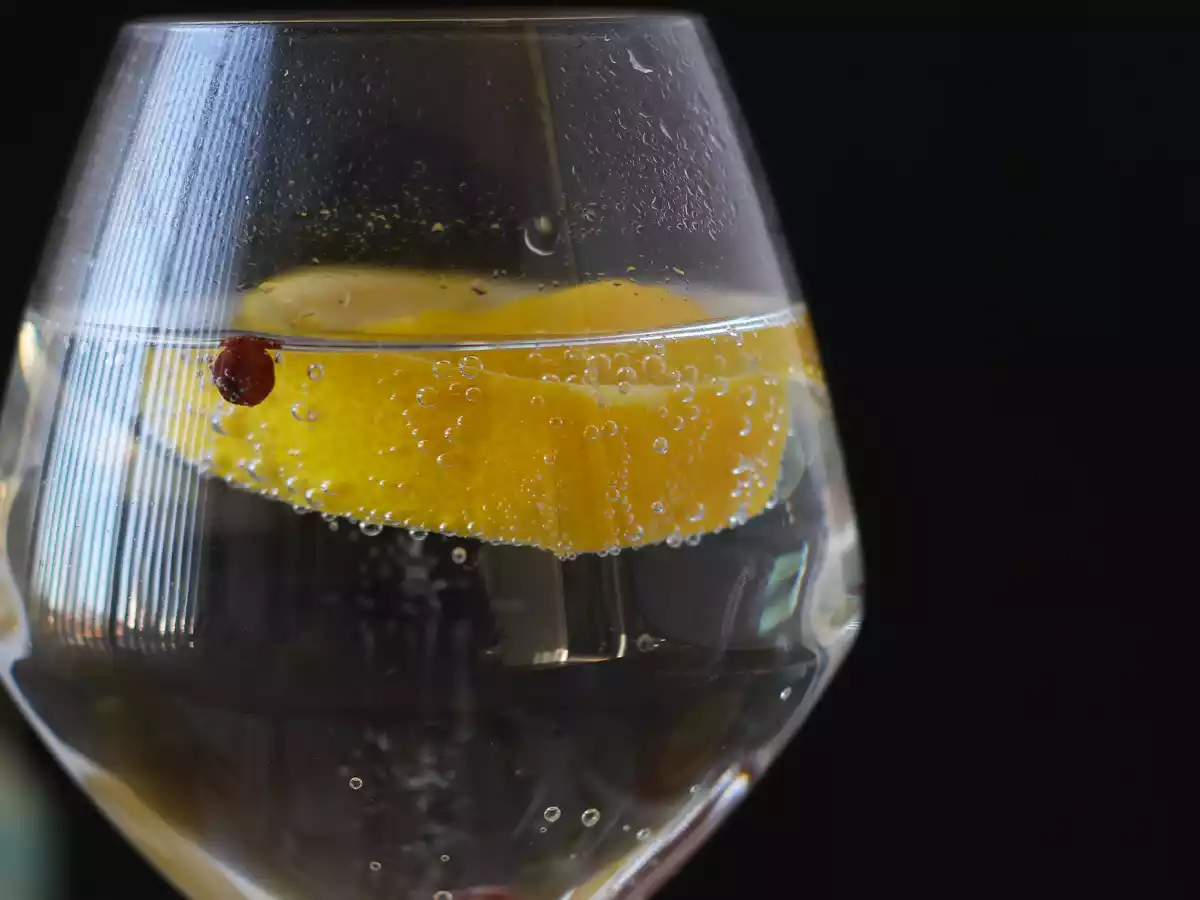 Gin en tonic, de essentiële aperitiefcocktail! - foto 5