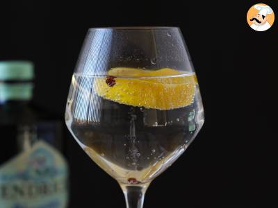 Gin en tonic, de essentiële aperitiefcocktail! - foto 2