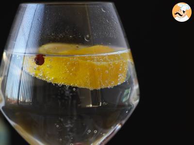 Gin en tonic, de essentiële aperitiefcocktail! - foto 5