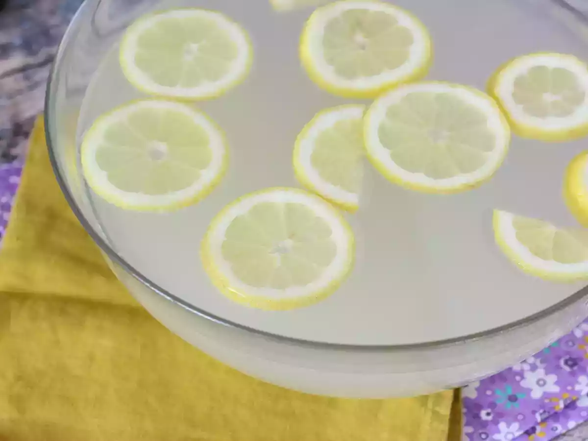 Gin fizz om te delen met al je gasten tijdens het aperitief - foto 2