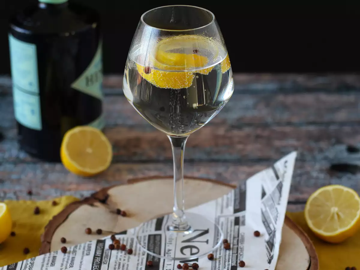 Gin-tonic, de onmisbare cocktail voor bij het aperitief! - foto 3