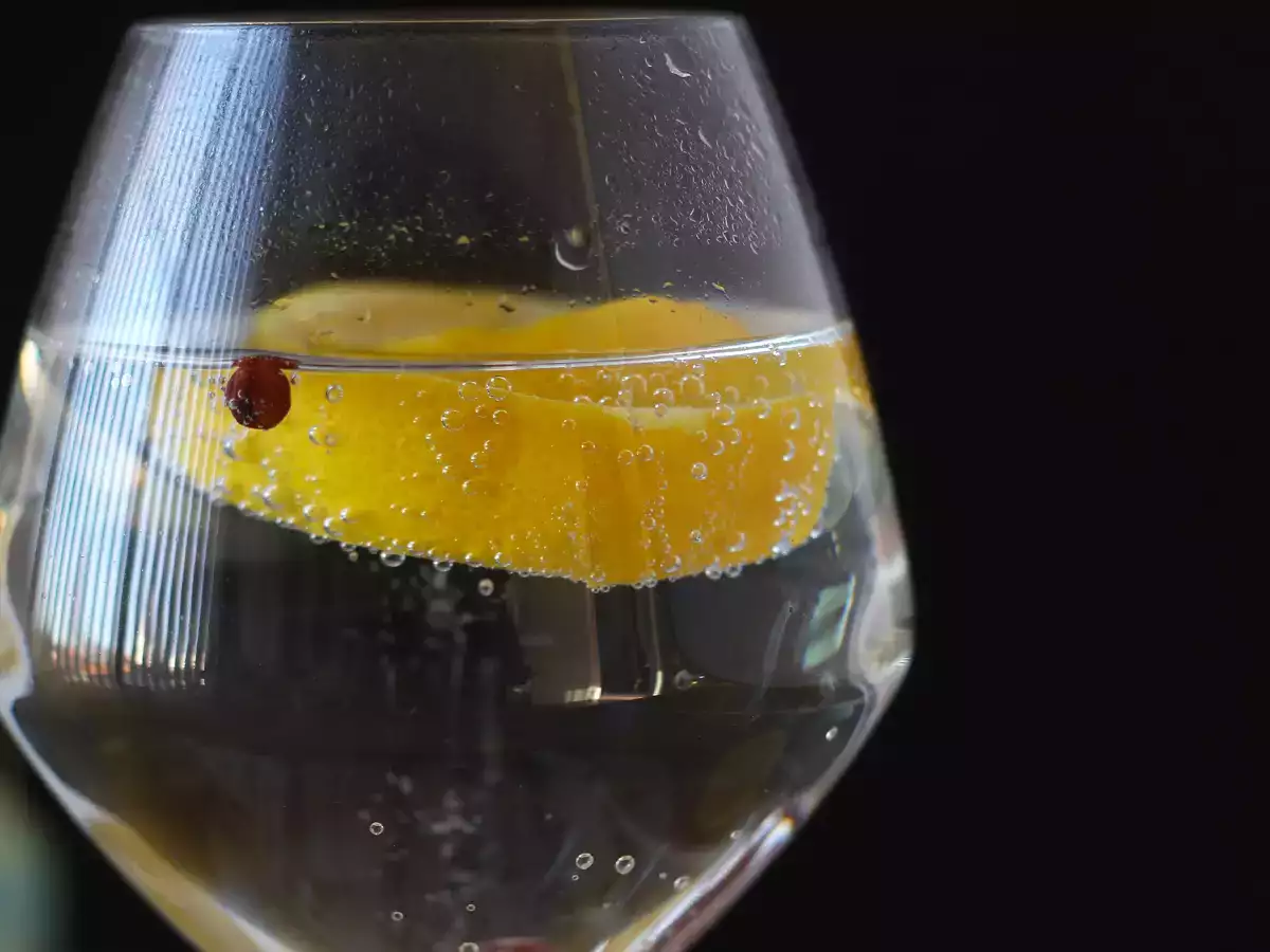 Gin-tonic, de onmisbare cocktail voor bij het aperitief! - foto 5