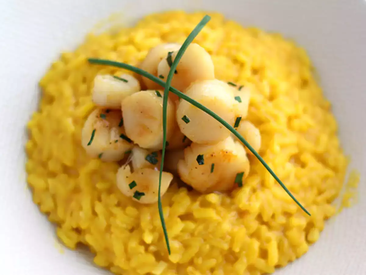 Risotto met sint-jakobsschelpen en saffraan