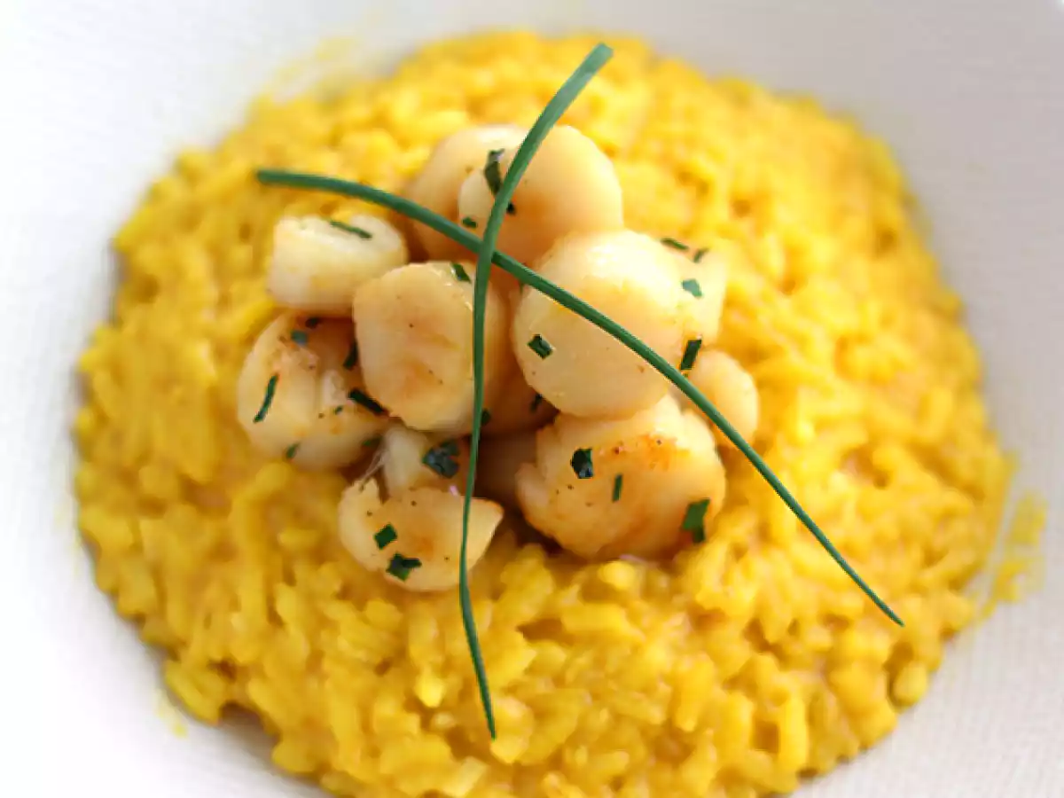 Risotto van sint-jakobsschelpen met saffraan