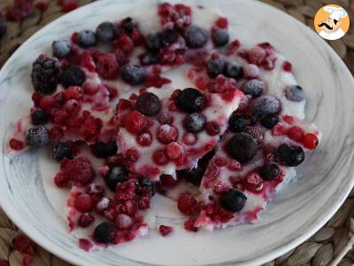 Rode vruchten frozen yoghurt repen - foto 2